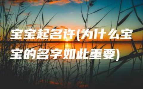 宝宝起名许(为什么宝宝的名字如此重要)