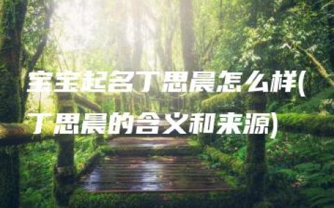 宝宝起名丁思晨怎么样(丁思晨的含义和来源)