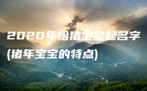 2020年给猪宝宝起名字(猪年宝宝的特点)