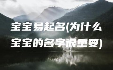 宝宝易起名(为什么宝宝的名字很重要)