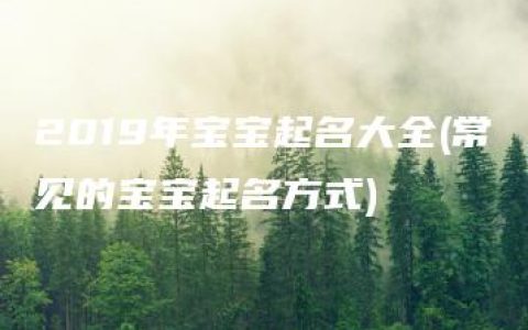 2019年宝宝起名大全(常见的宝宝起名方式)