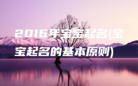 2016年宝宝起名(宝宝起名的基本原则)