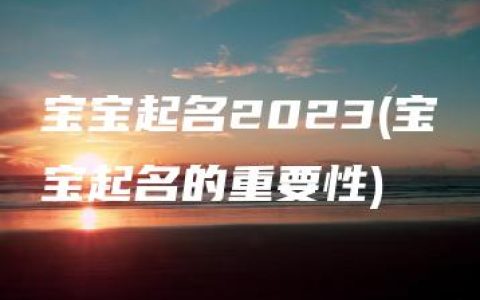 宝宝起名2023(宝宝起名的重要性)