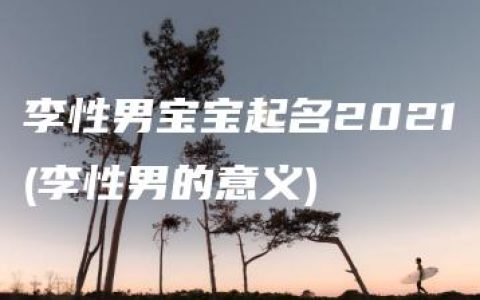 李性男宝宝起名2021(李性男的意义)