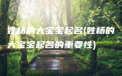 姓杨的大宝宝起名(姓杨的大宝宝起名的重要性)