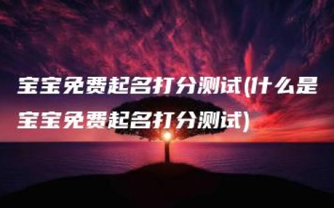 宝宝免费起名打分测试(什么是宝宝免费起名打分测试)