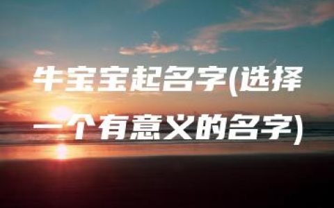 牛宝宝起名字(选择一个有意义的名字)