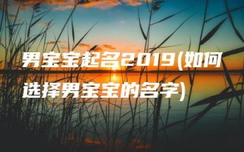 男宝宝起名2019(如何选择男宝宝的名字)