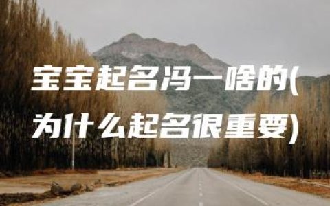 宝宝起名冯一啥的(为什么起名很重要)