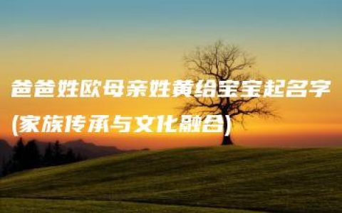 爸爸姓欧母亲姓黄给宝宝起名字(家族传承与文化融合)