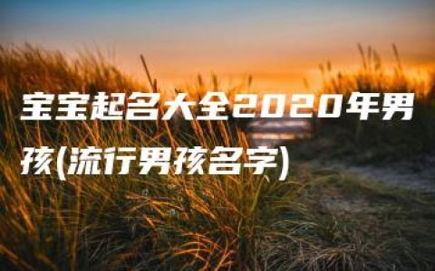 宝宝起名大全2020年男孩(流行男孩名字)