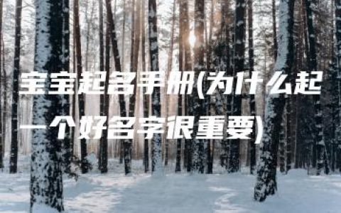 宝宝起名手册(为什么起一个好名字很重要)