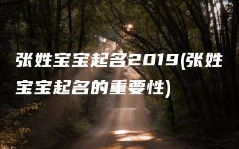 张姓宝宝起名2019(张姓宝宝起名的重要性)