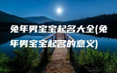 兔年男宝宝起名大全(兔年男宝宝起名的意义)