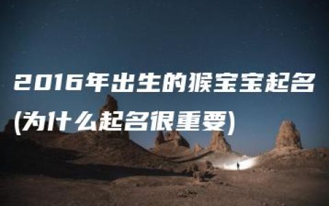 2016年出生的猴宝宝起名(为什么起名很重要)