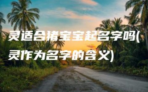 灵适合猪宝宝起名字吗(灵作为名字的含义)