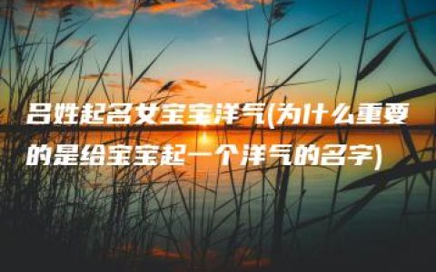 吕姓起名女宝宝洋气(为什么重要的是给宝宝起一个洋气的名字)