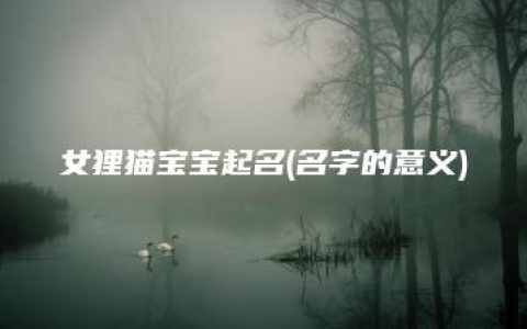 女狸猫宝宝起名(名字的意义)