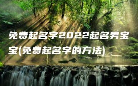 免费起名字2022起名男宝宝(免费起名字的方法)