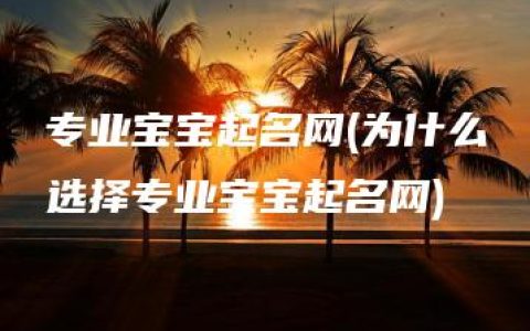 专业宝宝起名网(为什么选择专业宝宝起名网)