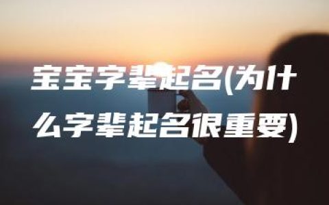 宝宝字辈起名(为什么字辈起名很重要)