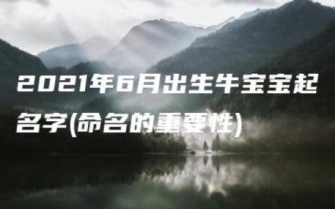 2021年6月出生牛宝宝起名字(命名的重要性)