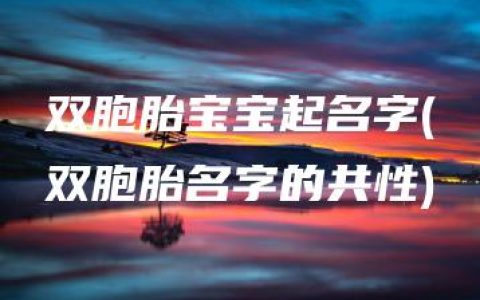 双胞胎宝宝起名字(双胞胎名字的共性)