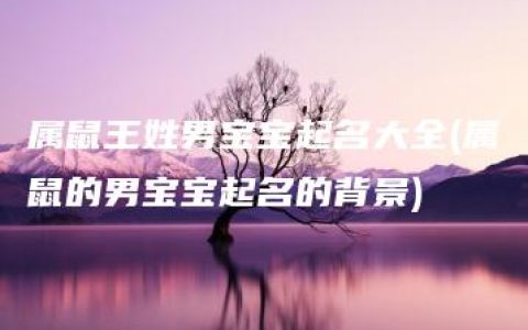 属鼠王姓男宝宝起名大全(属鼠的男宝宝起名的背景)