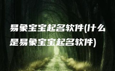 易象宝宝起名软件(什么是易象宝宝起名软件)