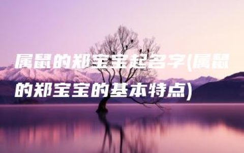 属鼠的郑宝宝起名字(属鼠的郑宝宝的基本特点)