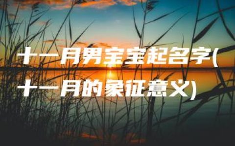 十一月男宝宝起名字(十一月的象征意义)