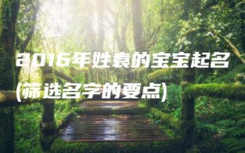 2016年姓袁的宝宝起名(筛选名字的要点)