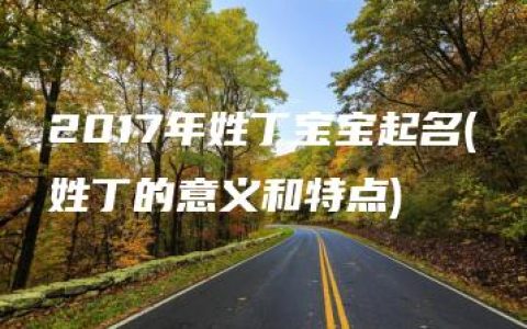 2017年姓丁宝宝起名(姓丁的意义和特点)