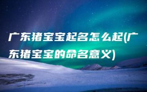 广东猪宝宝起名怎么起(广东猪宝宝的命名意义)