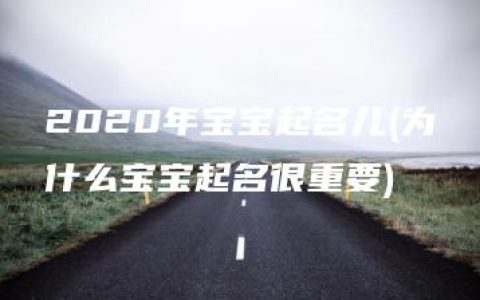 2020年宝宝起名儿(为什么宝宝起名很重要)