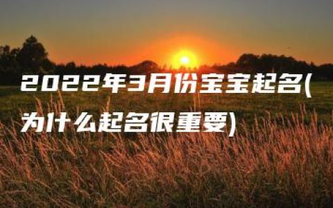 2022年3月份宝宝起名(为什么起名很重要)