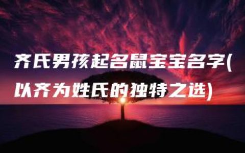 齐氏男孩起名鼠宝宝名字(以齐为姓氏的独特之选)