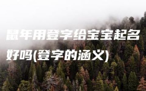 鼠年用登字给宝宝起名好吗(登字的涵义)