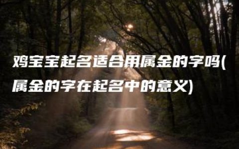 鸡宝宝起名适合用属金的字吗(属金的字在起名中的意义)