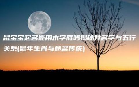 鼠宝宝起名能用木字底吗揭秘姓名学与五行关系(鼠年生肖与命名传统)