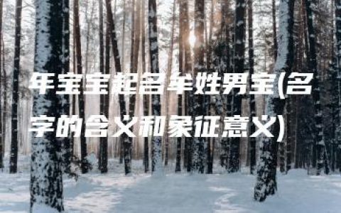 年宝宝起名牟姓男宝(名字的含义和象征意义)