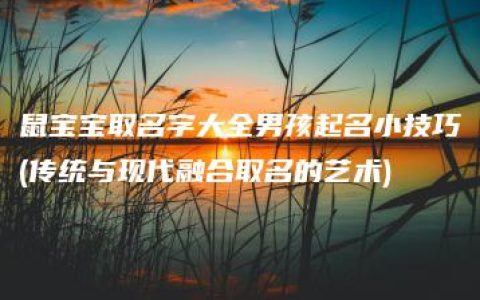 鼠宝宝取名字大全男孩起名小技巧(传统与现代融合取名的艺术)