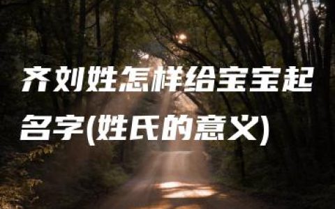 齐刘姓怎样给宝宝起名字(姓氏的意义)