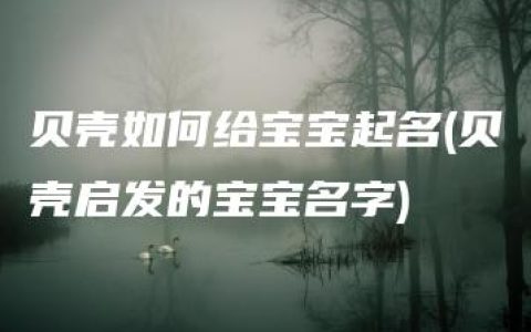 贝壳如何给宝宝起名(贝壳启发的宝宝名字)