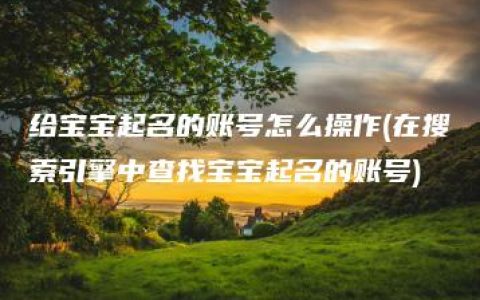 给宝宝起名的账号怎么操作(在搜索引擎中查找宝宝起名的账号)