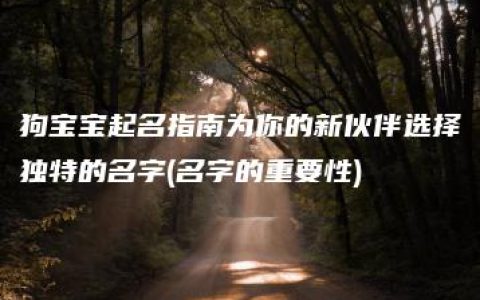 狗宝宝起名指南为你的新伙伴选择独特的名字(名字的重要性)