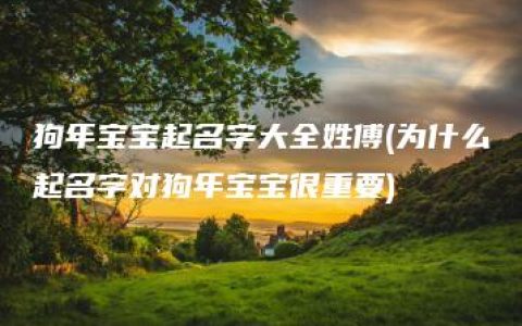 狗年宝宝起名字大全姓傅(为什么起名字对狗年宝宝很重要)