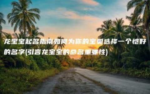 龙宝宝起名指南如何为你的宝贝选择一个恺好的名字(引言龙宝宝的命名重要性)