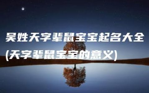 吴姓天字辈鼠宝宝起名大全(天字辈鼠宝宝的意义)