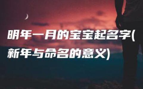 明年一月的宝宝起名字(新年与命名的意义)